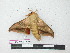  ( - BC-Roug1179)  @13 [ ] Copyright (2010) Unspecified Research Collection of Daniel Herbin