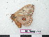  ( - BC-Roug1203)  @12 [ ] Copyright (2010) Unspecified Research Collection of Rodolphe Rougerie