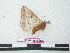 ( - BC-Roug1204)  @12 [ ] Copyright (2010) Unspecified Research Collection of Rodolphe Rougerie