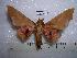  ( - BC-EST0198)  @14 [ ] Copyright (2010) Unspecified Research Collection of Yves Estradel