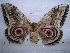  ( - BC-EST0382)  @12 [ ] Copyright (2010) Unspecified Research Collection of Yves Estradel