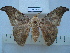  ( - BC-EST0690)  @14 [ ] Copyright (2010) Unspecified Research Collection of Yves Estradel