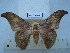  ( - BC-EST0691)  @14 [ ] Copyright (2010) Unspecified Research Collection of Yves Estradel
