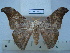 ( - BC-EST0692)  @14 [ ] Copyright (2010) Unspecified Research Collection of Yves Estradel
