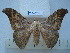  ( - BC-EST0693)  @14 [ ] Copyright (2010) Unspecified Research Collection of Yves Estradel