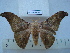  ( - BC-EST0694)  @14 [ ] Copyright (2010) Unspecified Research Collection of Yves Estradel