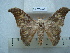  ( - BC-EST0699)  @14 [ ] Copyright (2010) Unspecified Research Collection of Yves Estradel