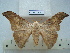  ( - BC-EST0704)  @14 [ ] Copyright (2010) Unspecified Research Collection of Yves Estradel