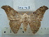  ( - BC-EST0705)  @14 [ ] Copyright (2010) Unspecified Research Collection of Yves Estradel