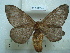  ( - BC-EST0740)  @14 [ ] Copyright (2010) Unspecified Research Collection of Yves Estradel