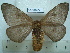  ( - BC-EST0741)  @14 [ ] Copyright (2010) Unspecified Research Collection of Yves Estradel
