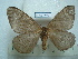  ( - BC-EST0743)  @13 [ ] Copyright (2010) Unspecified Research Collection of Yves Estradel