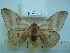  ( - BC-EST0782)  @14 [ ] Copyright (2010) Unspecified Research Collection of Yves Estradel