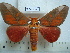  ( - BC-EST0799)  @13 [ ] Copyright (2010) Unspecified Research Collection of Yves Estradel
