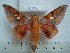  ( - BC-EST0801)  @13 [ ] Copyright (2010) Unspecified Research Collection of Yves Estradel