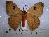  ( - BC-EST0279)  @13 [ ] Copyright (2010) Unspecified Research Collection of Yves Estradel