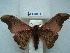  ( - BC-EST0670)  @14 [ ] Copyright (2010) Unspecified Research Collection of Yves Estradel