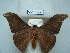  ( - BC-EST0688)  @13 [ ] Copyright (2010) Unspecified Research Collection of Yves Estradel