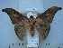  ( - BC-EST0690)  @14 [ ] Copyright (2010) Unspecified Research Collection of Yves Estradel