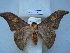  ( - BC-EST0691)  @14 [ ] Copyright (2010) Unspecified Research Collection of Yves Estradel