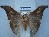  ( - BC-EST0692)  @14 [ ] Copyright (2010) Unspecified Research Collection of Yves Estradel