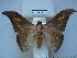  ( - BC-EST0693)  @14 [ ] Copyright (2010) Unspecified Research Collection of Yves Estradel