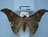  ( - BC-EST0694)  @14 [ ] Copyright (2010) Unspecified Research Collection of Yves Estradel