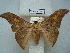  ( - BC-EST0704)  @14 [ ] Copyright (2010) Unspecified Research Collection of Yves Estradel