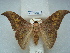  ( - BC-EST0705)  @14 [ ] Copyright (2010) Unspecified Research Collection of Yves Estradel