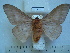  ( - BC-EST0782)  @13 [ ] Copyright (2010) Unspecified Research Collection of Yves Estradel