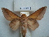  ( - BC-EST0797)  @12 [ ] Copyright (2010) Unspecified Research Collection of Yves Estradel