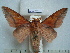  ( - BC-EST0801)  @13 [ ] Copyright (2010) Unspecified Research Collection of Yves Estradel