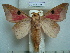  ( - BC-EST0805)  @14 [ ] Copyright (2010) Unspecified Research Collection of Yves Estradel