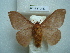  ( - BC-EST0817)  @14 [ ] Copyright (2010) Unspecified Research Collection of Yves Estradel