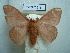  ( - BC-EST0818)  @14 [ ] Copyright (2010) Unspecified Research Collection of Yves Estradel