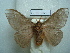  ( - BC-EST0820)  @12 [ ] Copyright (2010) Unspecified Research Collection of Yves Estradel