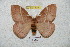  ( - BC-RBP 5909)  @13 [ ] Copyright (2010) Ron Brechlin Research Collection of Ron Brechlin