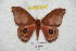  ( - BC-RBP 5935)  @11 [ ] Copyright (2010) Ron Brechlin Research Collection of Ron Brechlin