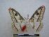 ( - PD-BC-1323)  @14 [ ] Copyright (2010) Unspecified Research Collection of Philippe Darge