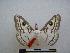  ( - PD-BC-1326)  @15 [ ] Copyright (2010) Unspecified Research Collection of Philippe Darge