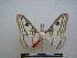  ( - PD-BC-1327)  @14 [ ] Copyright (2010) Unspecified Research Collection of Philippe Darge