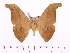 ( - BC-ULP0085)  @11 [ ] Copyright (2010) Unspecified Research Collection of Ulrich and Laela H. Paukstadt