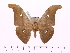  ( - BC-ULP0086)  @15 [ ] Copyright (2010) Unspecified Research Collection of Ulrich and Laela Paukstadt