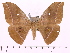  ( - BC-ULP0087)  @15 [ ] Copyright (2010) Unspecified Research Collection of Ulrich and Laela Paukstadt