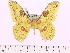  ( - BC-ULP0100)  @13 [ ] Copyright (2010) Unspecified Research Collection of Ulrich and Laela H. Paukstadt