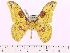  ( - BC-ULP0101)  @13 [ ] Copyright (2010) Unspecified Research Collection of Ulrich and Laela H. Paukstadt