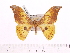  ( - BC-ULP0110)  @15 [ ] Copyright (2010) Unspecified Research Collection of Ulrich and Laela H. Paukstadt