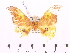  ( - BC-ULP0185)  @11 [ ] Copyright (2010) Unspecified Research Collection of Ulrich and Laela H. Paukstadt