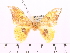  ( - BC-ULP0186)  @11 [ ] Copyright (2010) Unspecified Research Collection of Ulrich and Laela H. Paukstadt