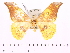  ( - BC-ULP0187)  @11 [ ] Copyright (2010) Unspecified Research Collection of Ulrich and Laela H. Paukstadt